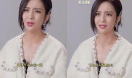 娱乐圈女明星互相爆料,揭秘背后真相与恩怨情仇